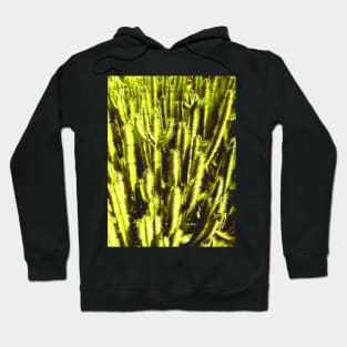 Cacti Hoodie